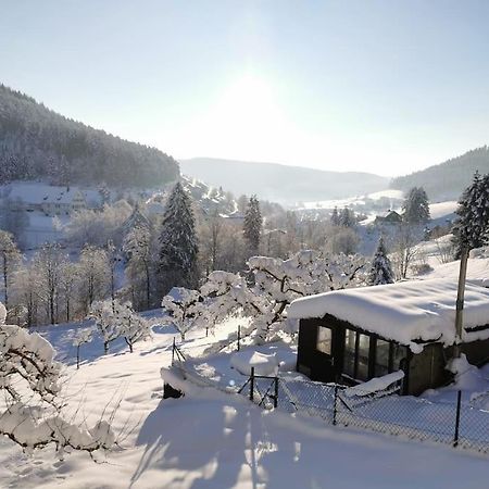 Wohnung Im Tonbachtal/ Baiersbronn Mit Traumausblick Eksteriør billede