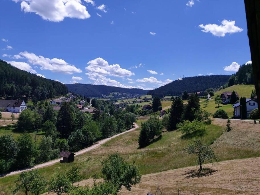 Wohnung Im Tonbachtal/ Baiersbronn Mit Traumausblick Eksteriør billede