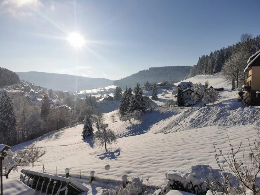 Wohnung Im Tonbachtal/ Baiersbronn Mit Traumausblick Eksteriør billede