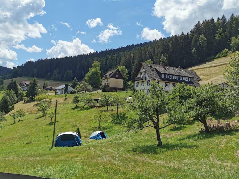 Wohnung Im Tonbachtal/ Baiersbronn Mit Traumausblick Eksteriør billede